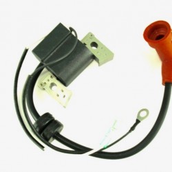YAMAHA F6 IGNITION COIL & CDI Replaces: 6BX-85571-00-00, Parsun: F6-04000400
