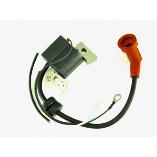 YAMAHA F6 IGNITION COIL & CDI Replaces: 6BX-85571-00-00, Parsun: F6-04000400