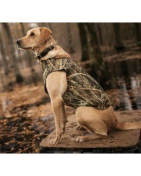 Cabela's 5mm Deluxe Neoprene Dog Vest
